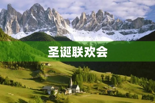 圣诞联欢会 圣诞联欢会