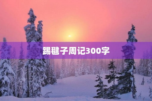 踢毽子周记300字 踢毽子周记300字