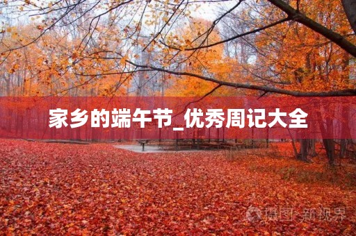 家乡的端午节_优秀周记大全 家乡的端午节_优秀周记大全