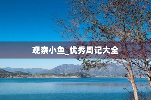 观察小鱼_优秀周记大全