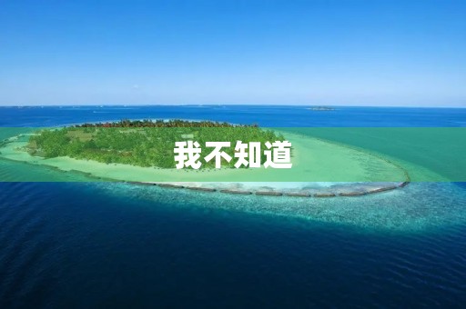 我不知道 我不知道