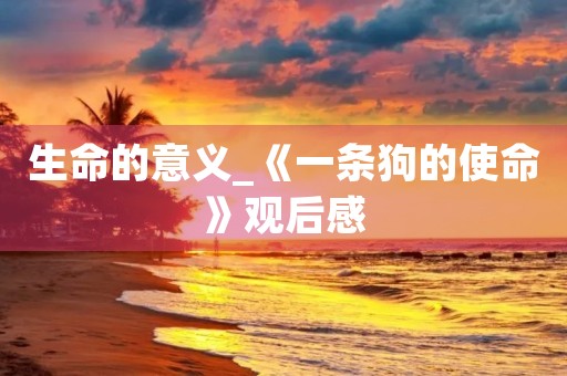 生命的意义_《一条狗的使命》观后感 生命的意义_《一条狗的使命》观后感