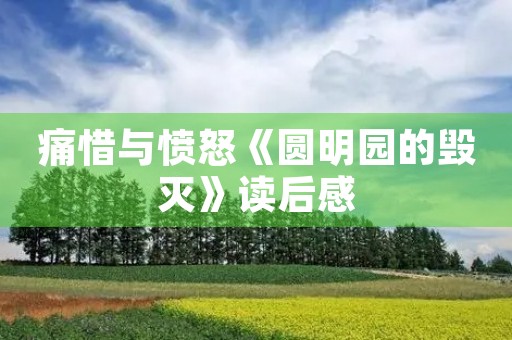 痛惜与愤怒《圆明园的毁灭》读后感