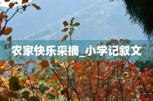 农家快乐采摘_小学记叙文