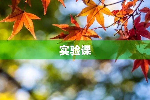实验课 实验课