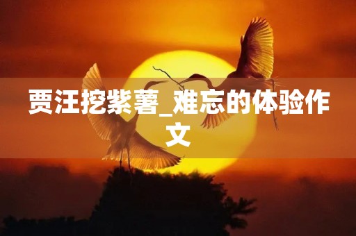 贾汪挖紫薯_难忘的体验作文 贾汪挖紫薯_难忘的体验作文