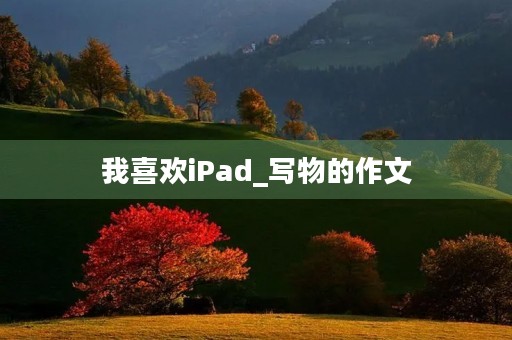 我喜欢iPad_写物的作文