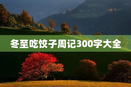 冬至吃饺子周记300字大全 冬至吃饺子周记300字大全