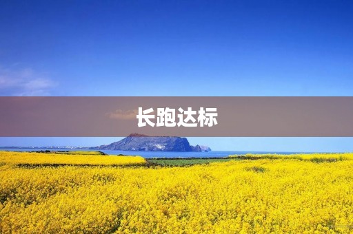 长跑达标 长跑达标