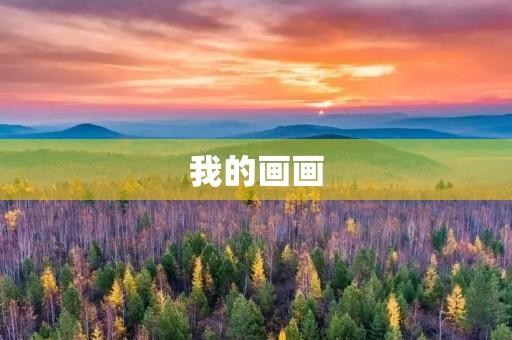 我的画画 我的画画