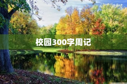 校园300字周记
