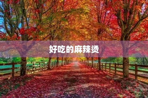 好吃的麻辣烫 好吃的麻辣烫