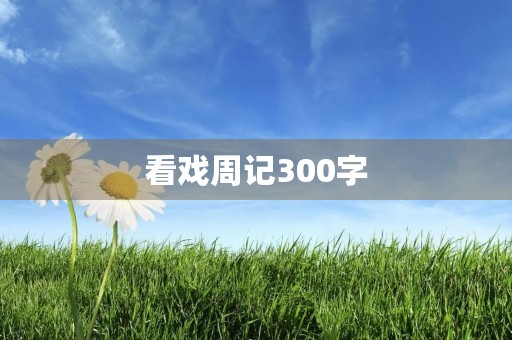看戏周记300字