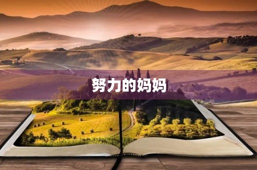 努力的妈妈 努力的妈妈