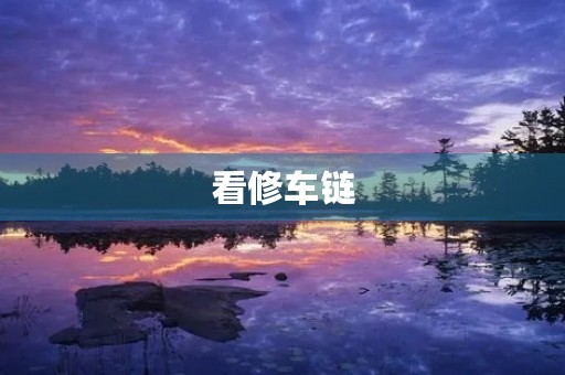 看修车链 看修车链