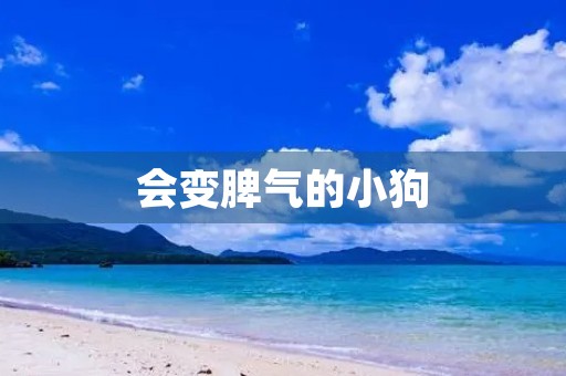 会变脾气的小狗 会变脾气的小狗