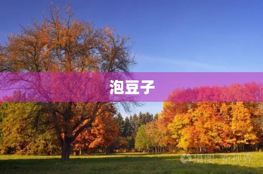 泡豆子 泡豆子