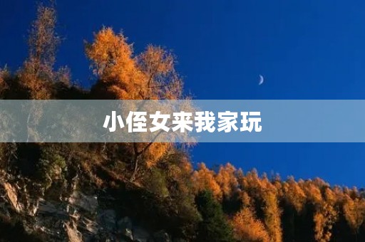 小侄女来我家玩