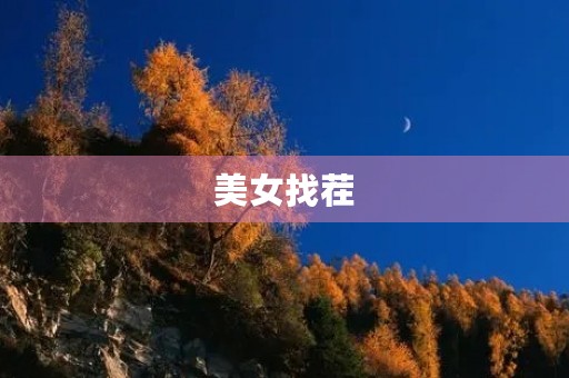 美女找茬 美女找茬