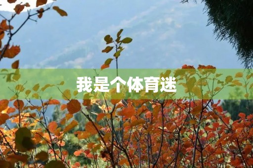 我是个体育迷