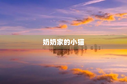 奶奶家的小猫 奶奶家的小猫