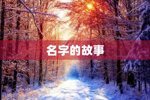 名字的故事 名字的故事
