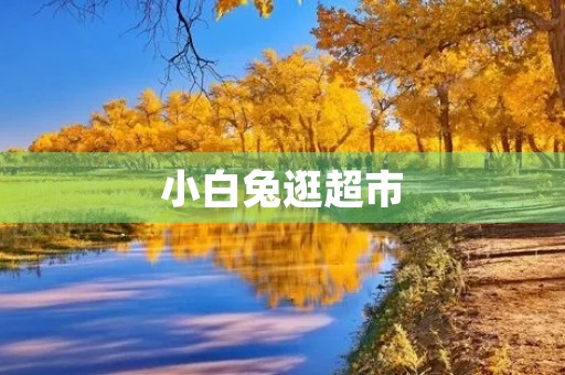小白兔逛超市 小白兔逛超市