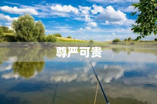 尊严可贵