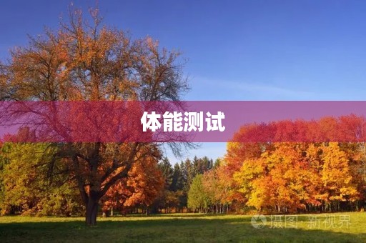 体能测试 体能测试