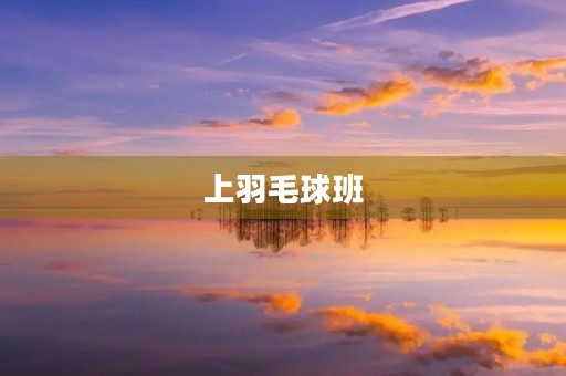 上羽毛球班 上羽毛球班
