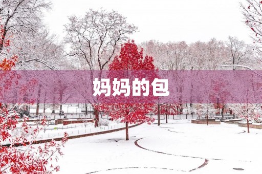妈妈的包 妈妈的包