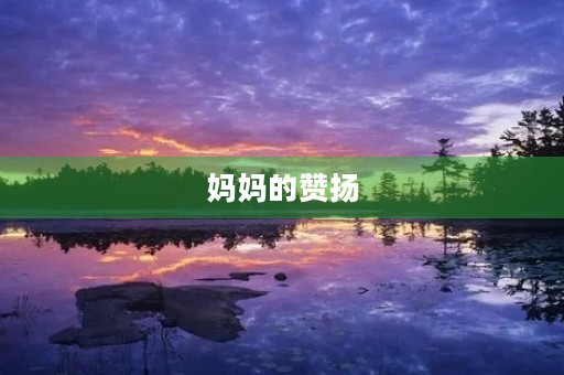 妈妈的赞扬 妈妈的赞扬