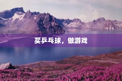 买乒乓球，做游戏