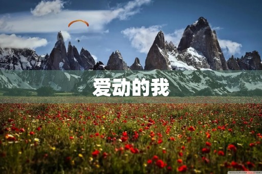 爱动的我 爱动的我