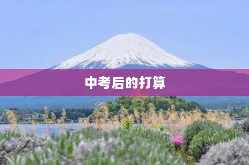 中考后的打算 中考后的打算