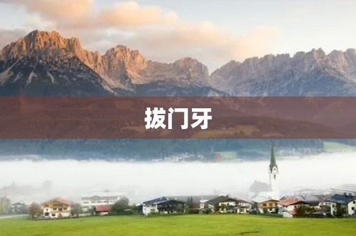 拔门牙