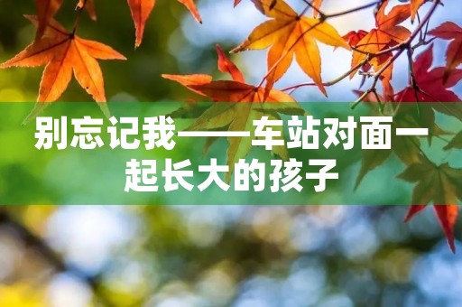 别忘记我——车站对面一起长大的孩子 别忘记我——车站对面一起长大的孩子