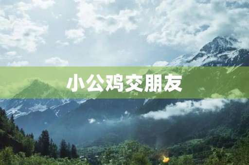 小公鸡交朋友 小公鸡交朋友