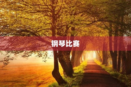 钢琴比赛 钢琴比赛