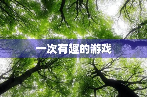 一次有趣的游戏 一次有趣的游戏