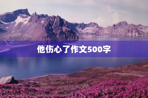 他伤心了作文500字 他伤心了作文500字