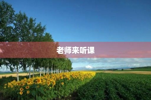 老师来听课 老师来听课
