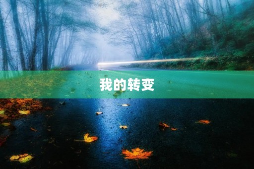 我的转变 我的转变