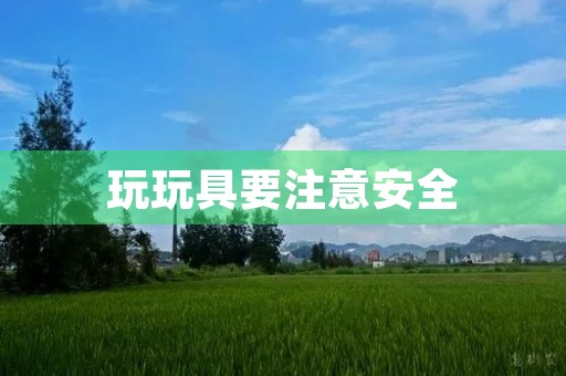 玩玩具要注意安全 玩玩具要注意安全