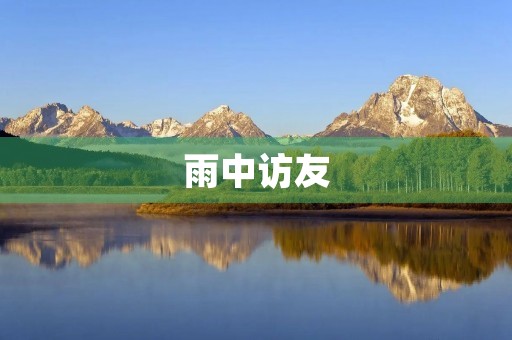 雨中访友 雨中访友
