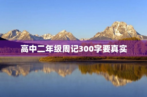 高中二年级周记300字要真实 高中二年级周记300字要真实