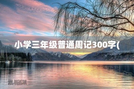 小学三年级普通周记300字(