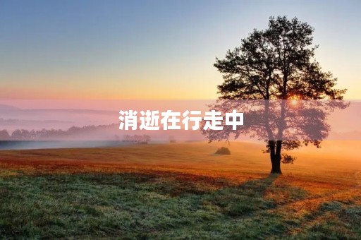 消逝在行走中 消逝在行走中