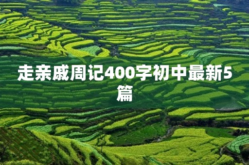走亲戚周记400字初中最新5篇 走亲戚周记400字初中最新5篇