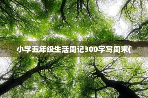 小学五年级生活周记300字写周末( 小学五年级生活周记300字写周末(